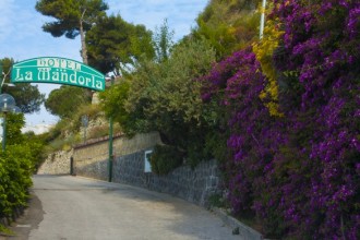 Eingang Hotel La Mandorla - Barano d´Ischia