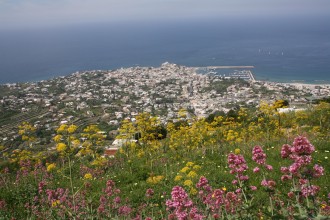 Wanderwoche auf Ischia - Wandern auf Ischia