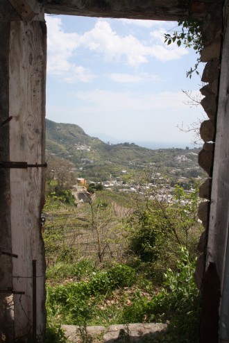 ausblick-fiaiano-insel-ischia 