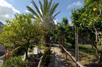Hotel Terme Colella - Garten