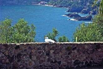 Panorama - Ischia