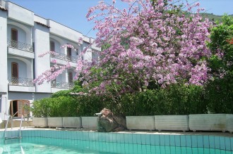 Villa Thomas - Pool