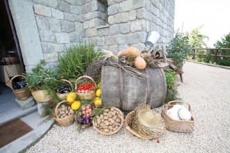 Ischia im Herbst Weintour
