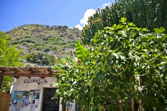 Direktion - Camping Ischia
