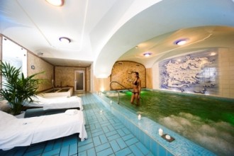 Hotel Central Park- Hallenbad