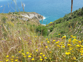 wandern auf ischia wanderwoche 2022