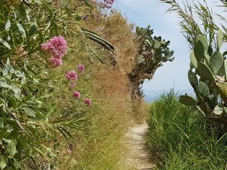 Wandern auf Ischia 