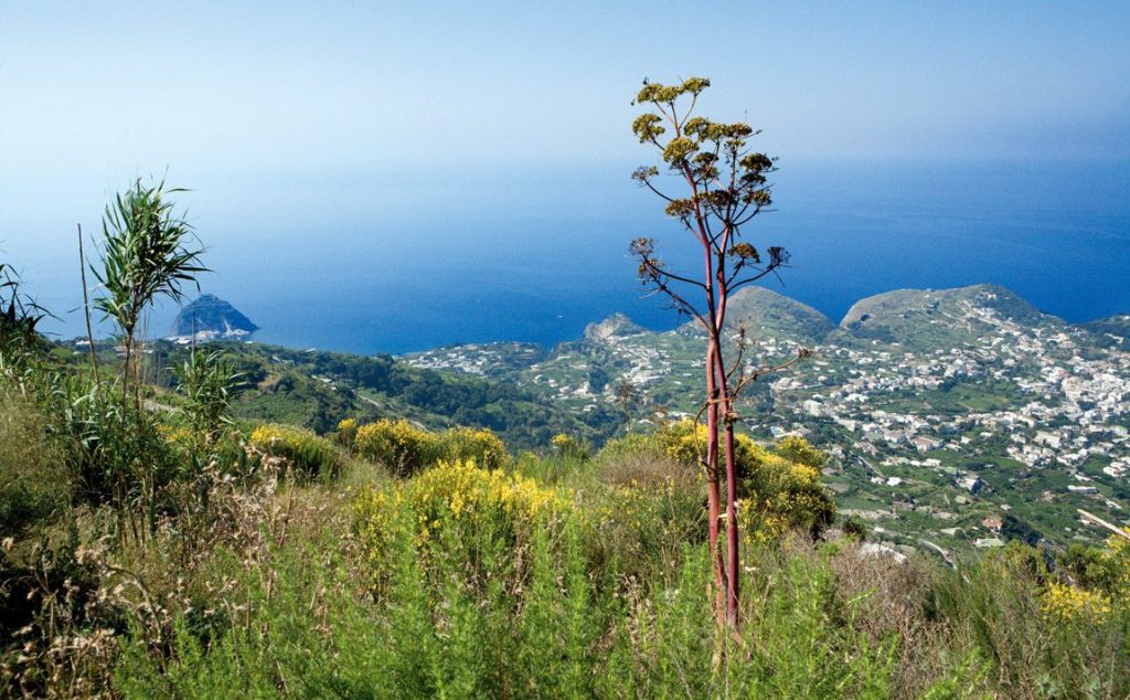 <span class="fancy-title">Wanderurlaub auf Ischia - Wandern & Seele baumelt lassen!</span>